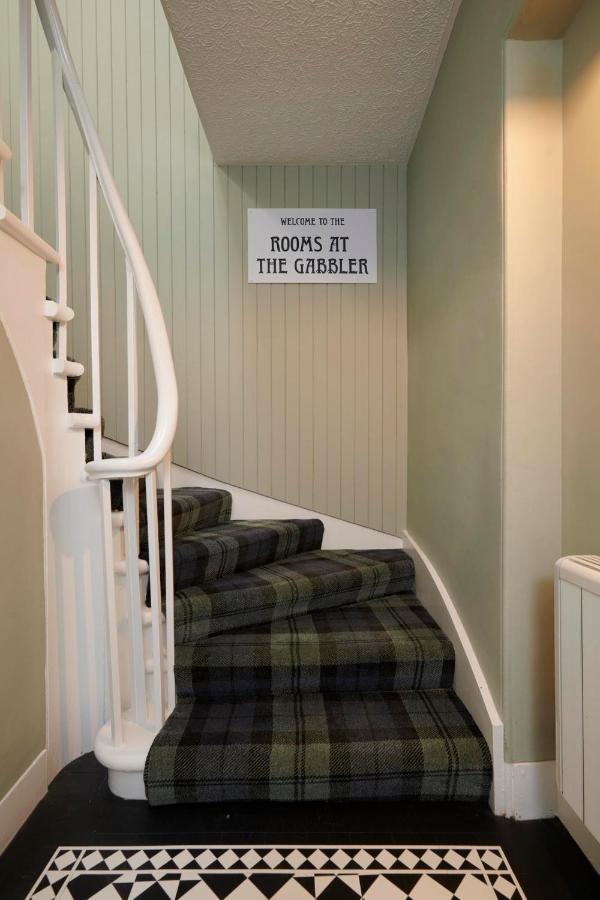 Downright Gabbler Beauly